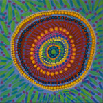 Billabong Country - Dorothy Forrest, 2025