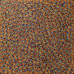 Seed Collecting, Markurra - Lynley Nargoodah, 2024