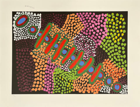 Wurna Jiljingurnu Kayili Martuwarrakarti - Amy Nuggett, 2014