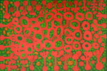 Jilas - Daisy Japulija, 2010