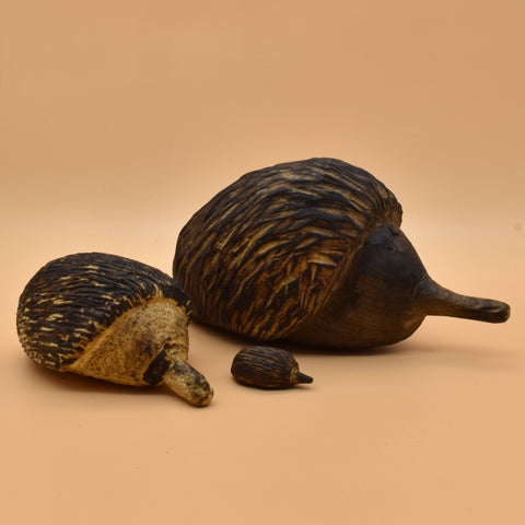 Echidna Family - Ali Hobbs