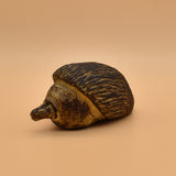 Echidna - Ali Hobbs