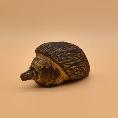 Echidna - Ali Hobbs