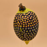 Boab - Dominic McLarty