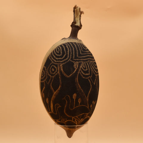 Boab - Local Artist