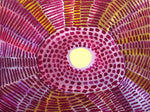 Grass - Dorothy May, 2005